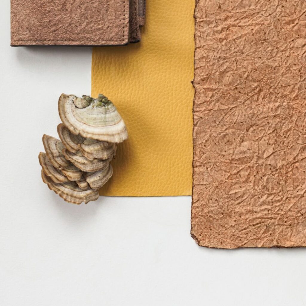 5 Amazing New Ways Mushrooms Positively Impact the Environment