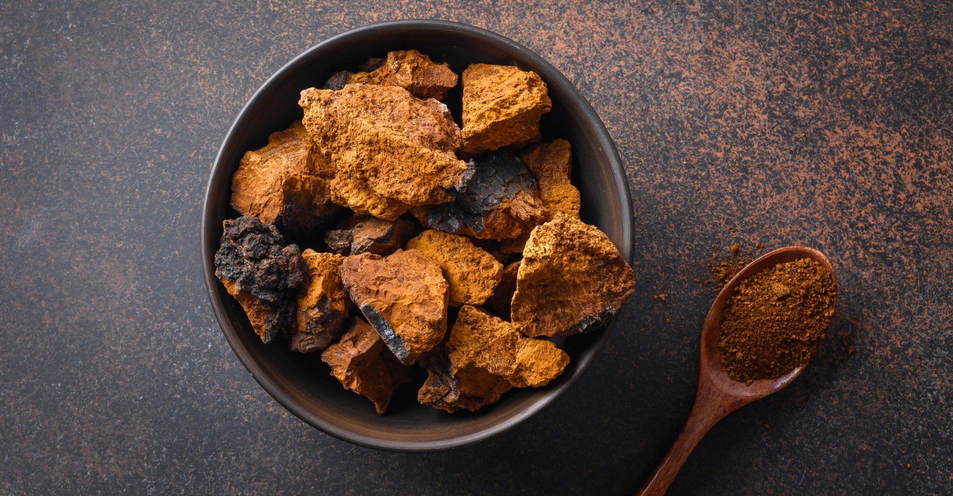 Chaga Mushroom and Gut Health: How This Ancient Fungus Supports Your Microbiome
