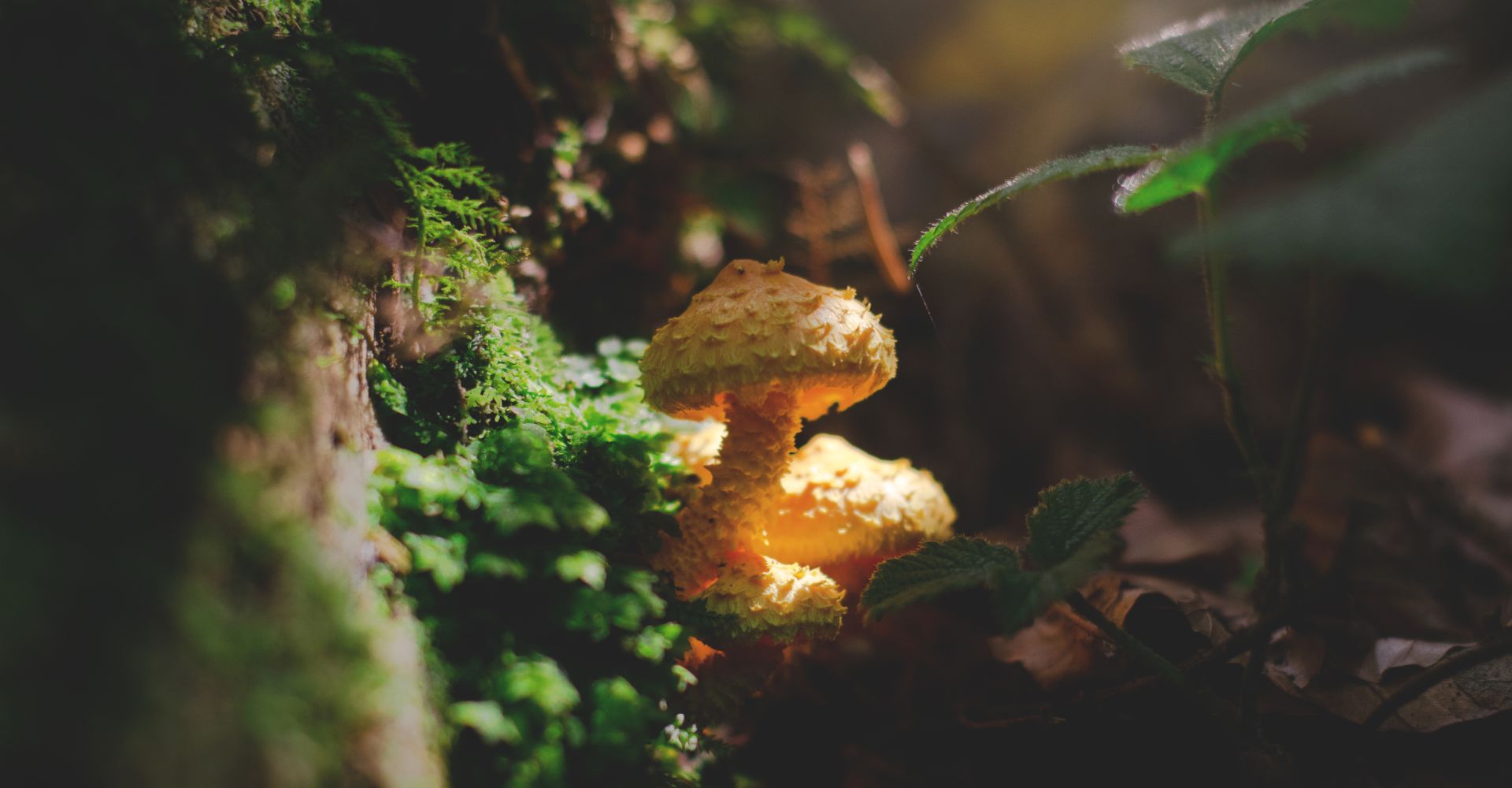 It's Our One-Year Anniversary! And We’re Celebrating with a Big Birthday Sale