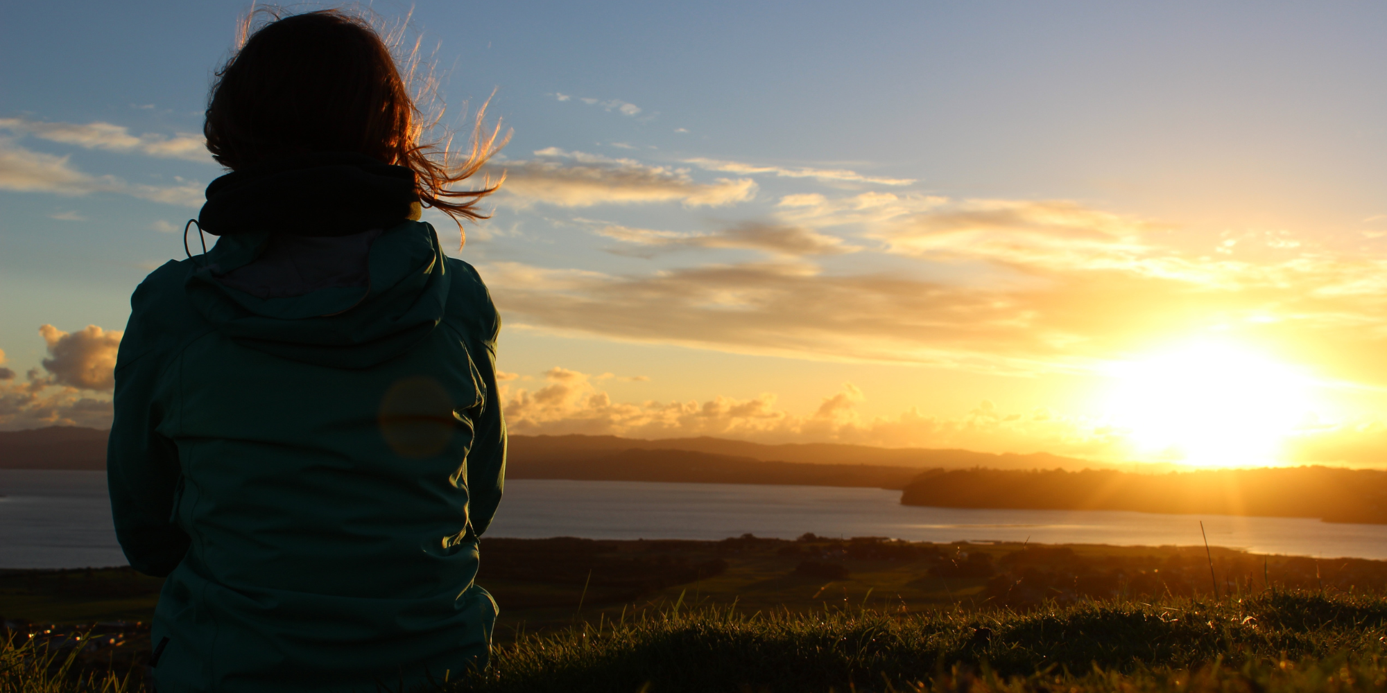 9 Crucial Tips for Selecting a Safe and Effective Mushroom Extract