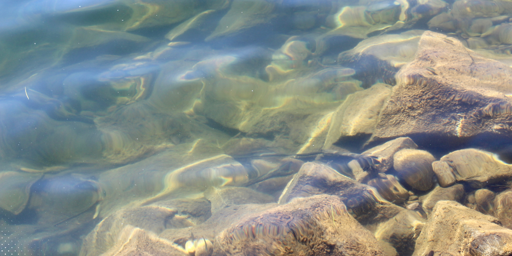 Brain Clarity When You Need It — Or How to Find Your Keys Again