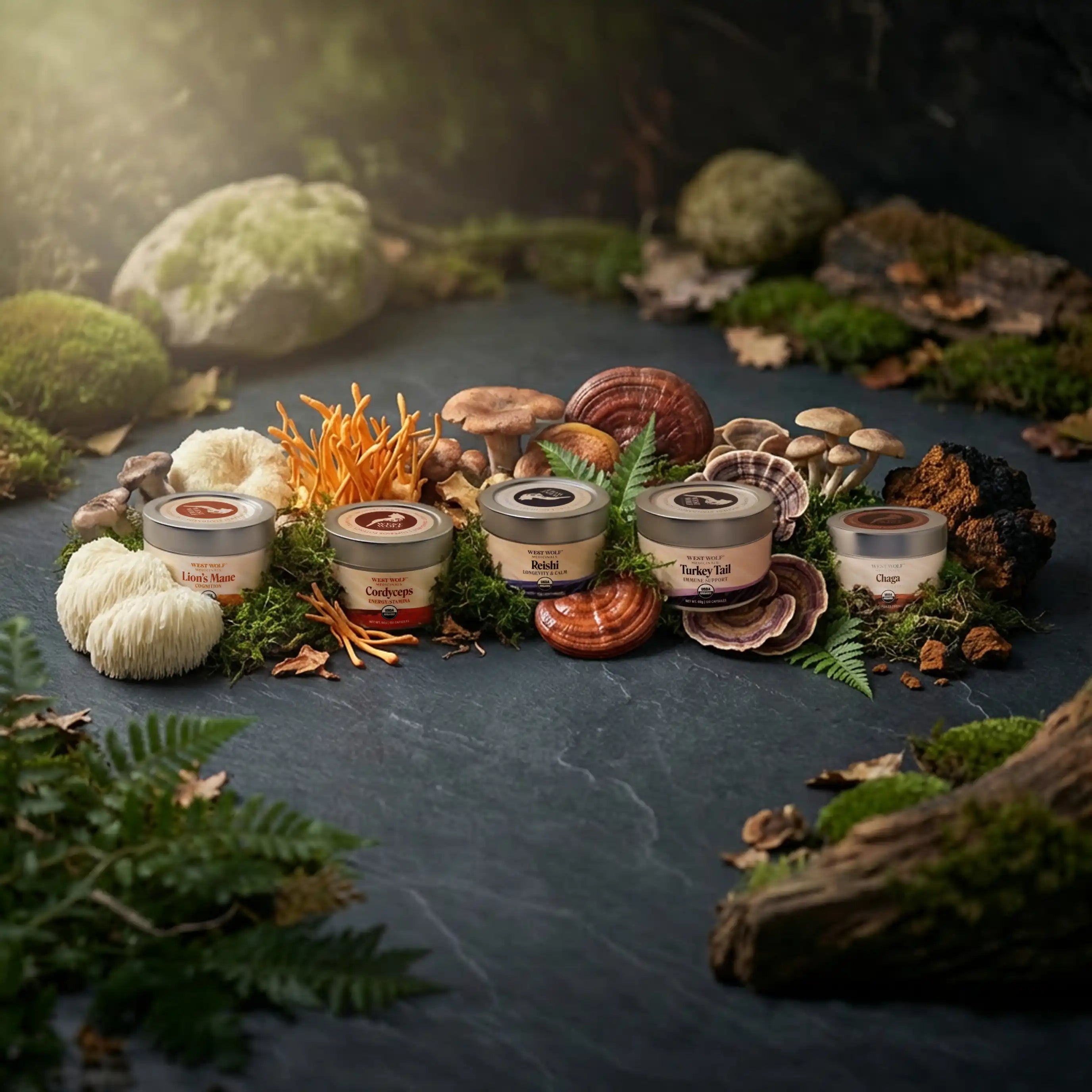 Single Mushroom Extracts