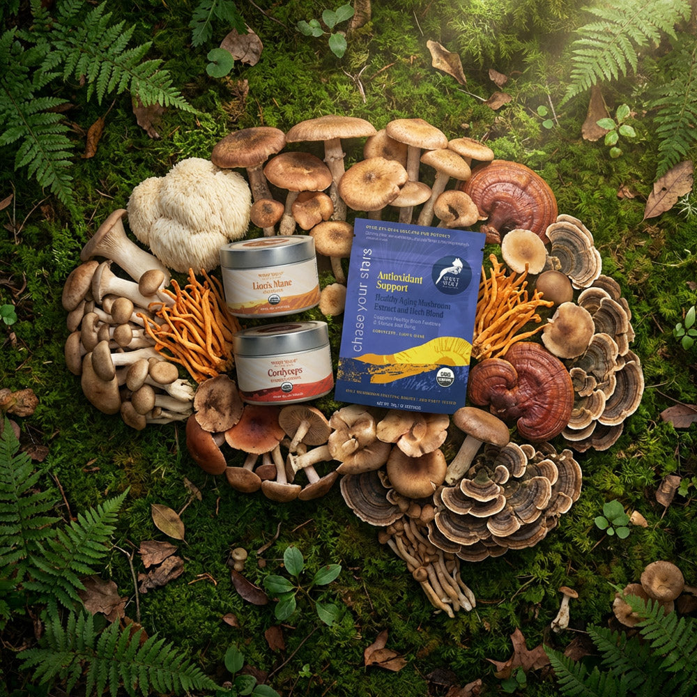 Energy & Cognitive Support