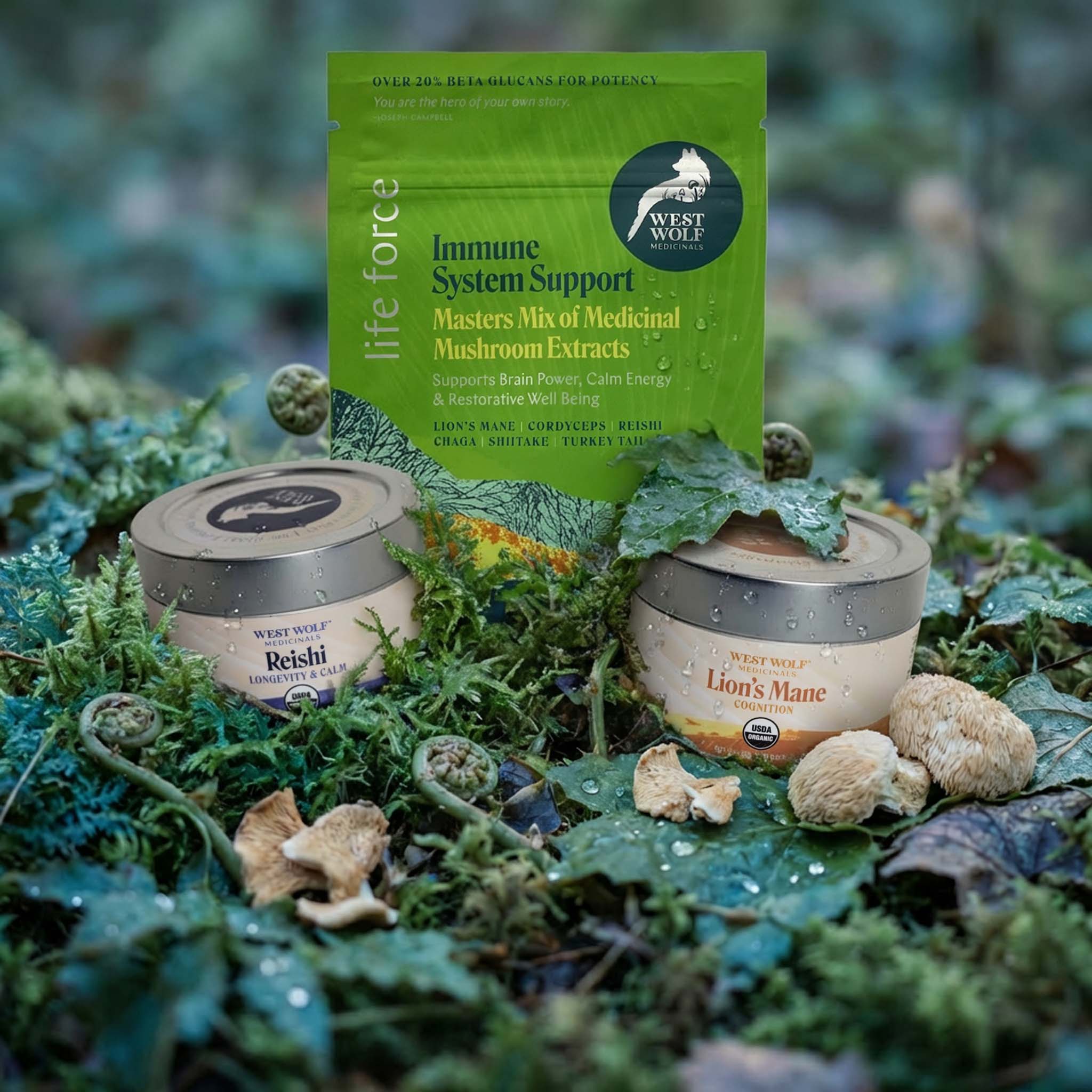 Cognitive Clarity Bundle