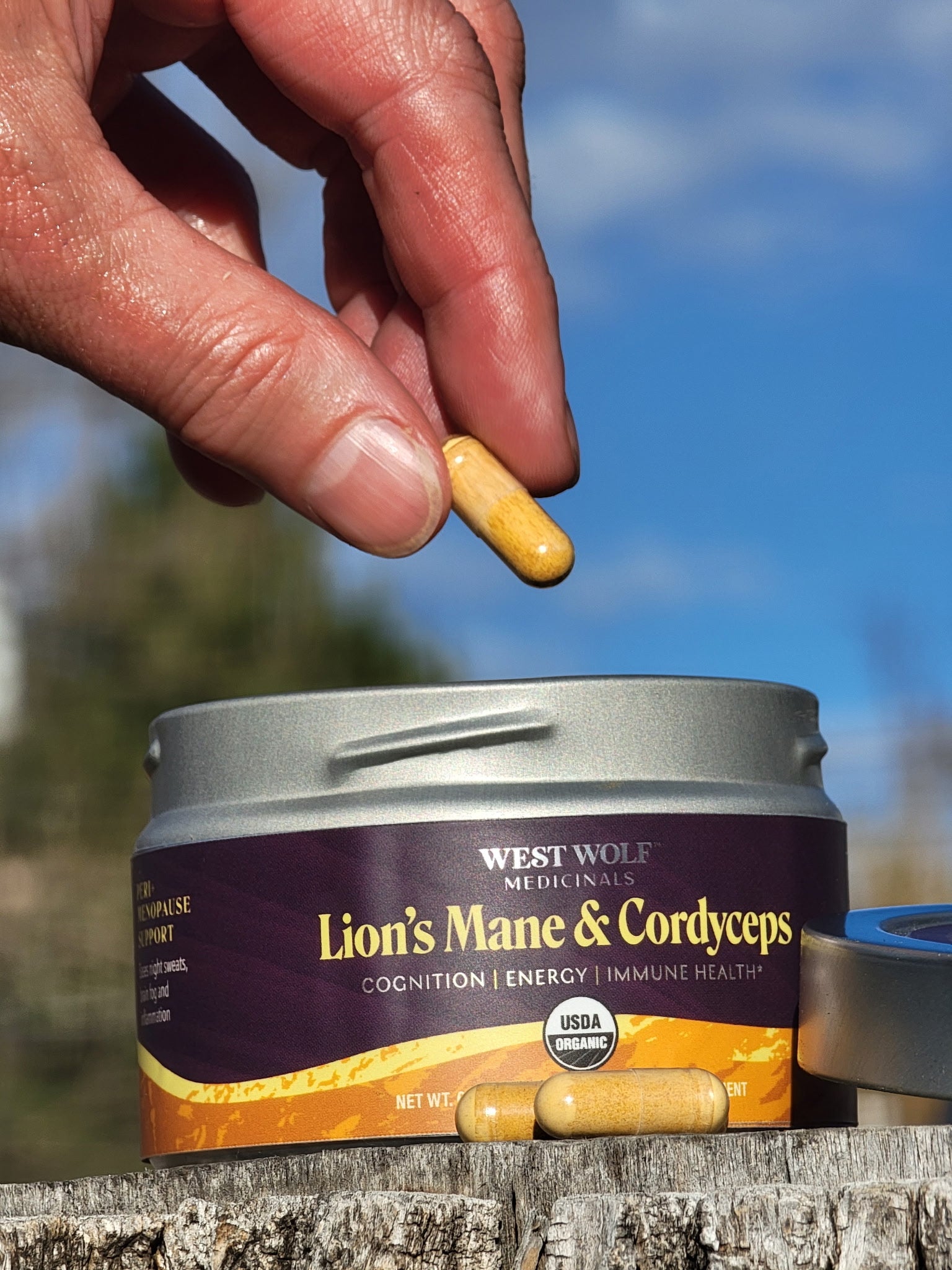 Cordyceps & Lions Mane — Capsules