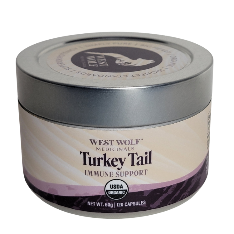 Turkey Tail Mushroom Capsules