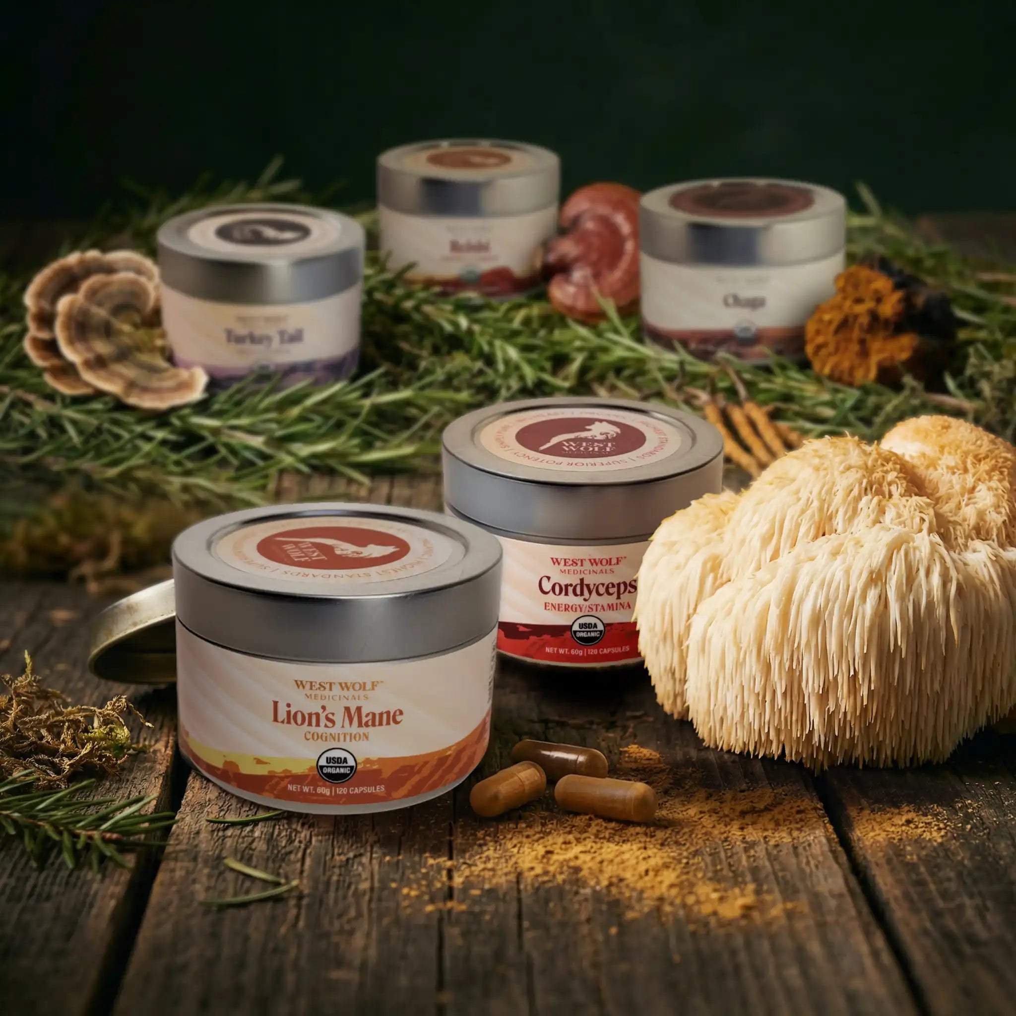 Lion's Mane — Capsules