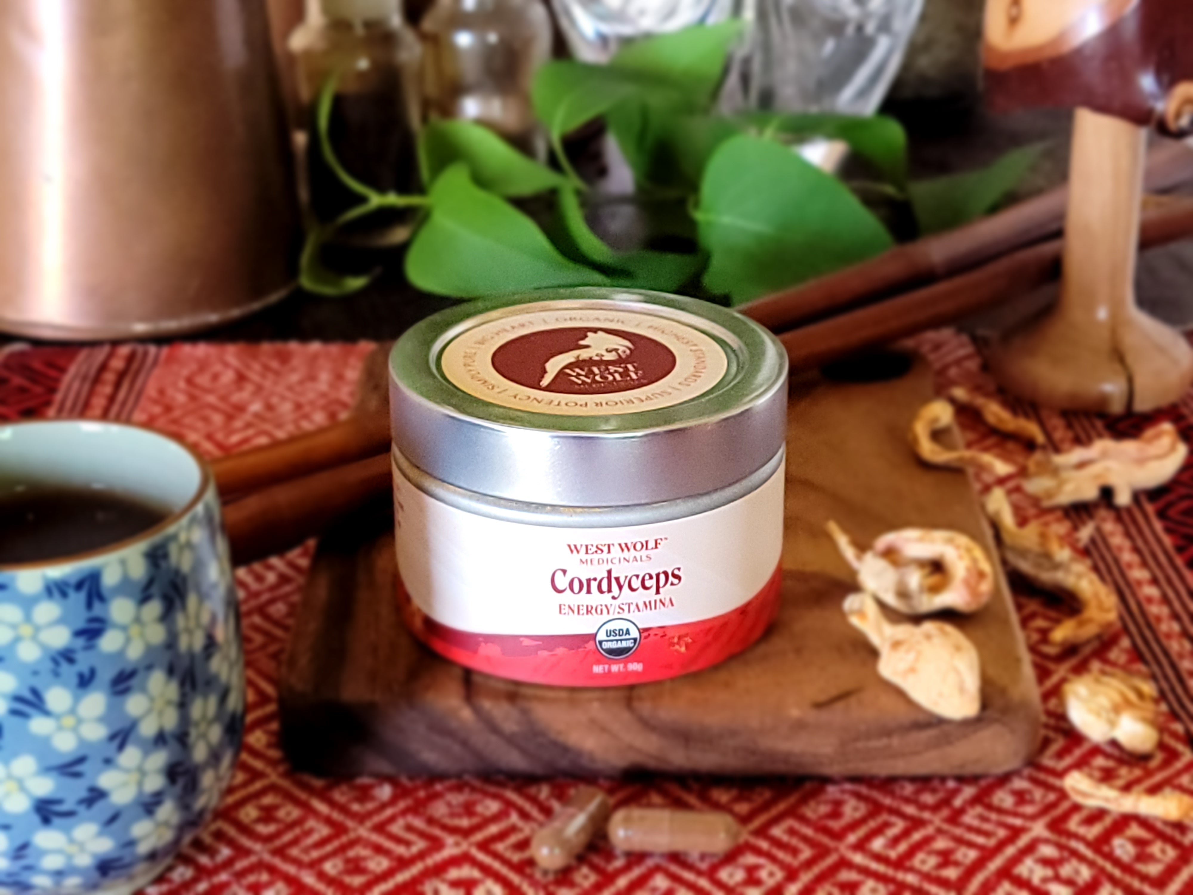 Cordyceps — Capsules