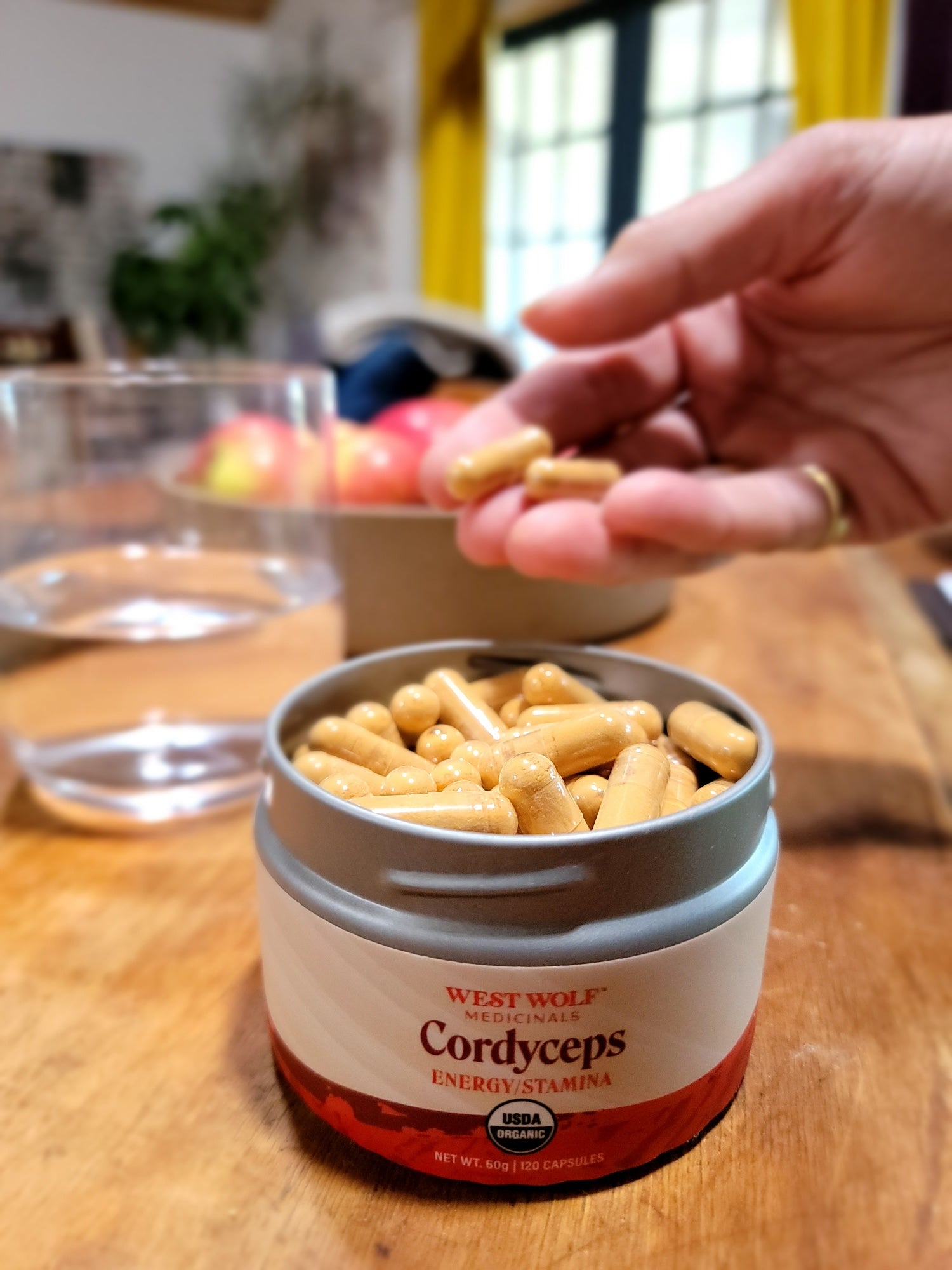 Cordyceps — Capsules