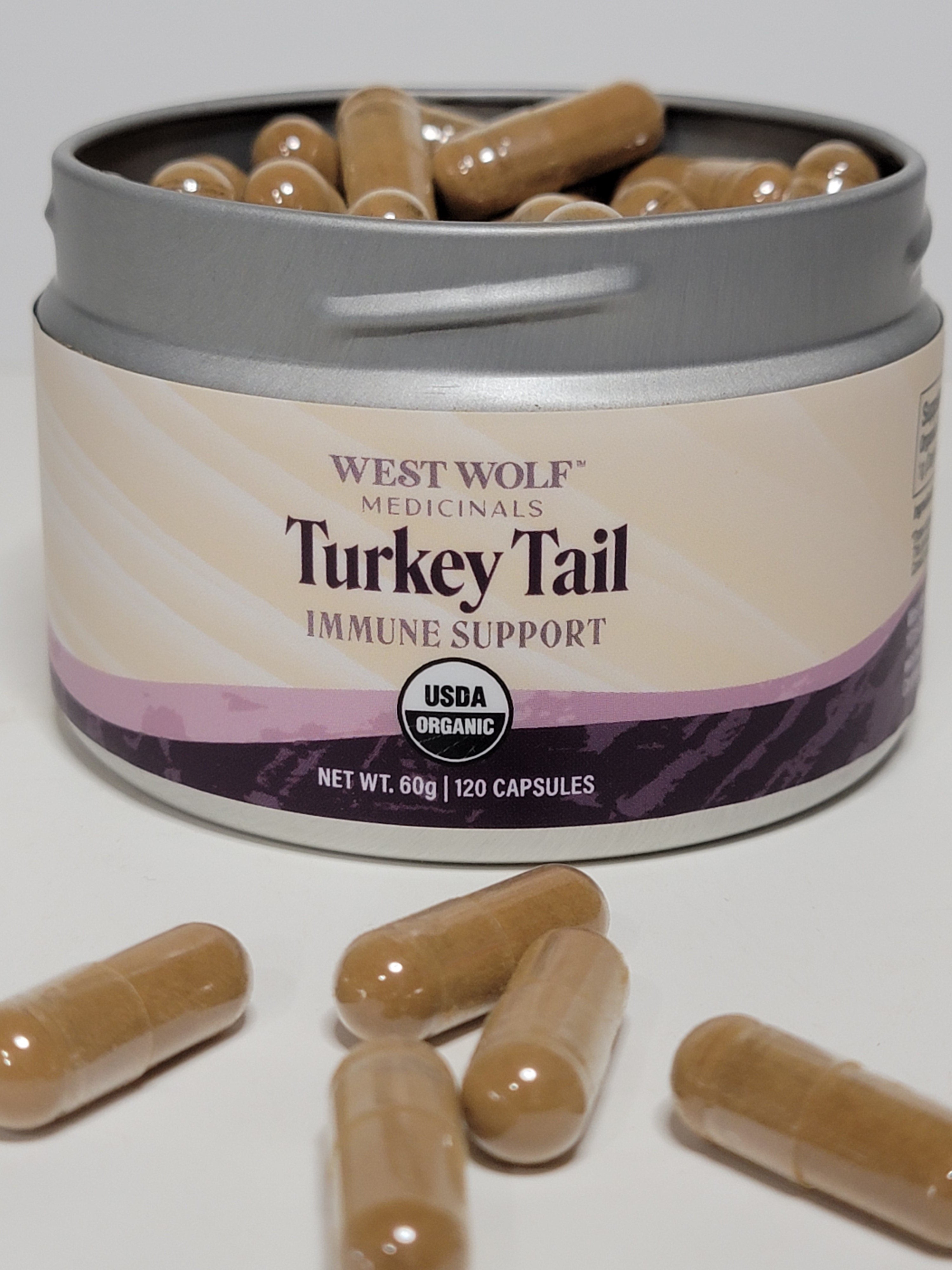 Turkey Tail — Capsules