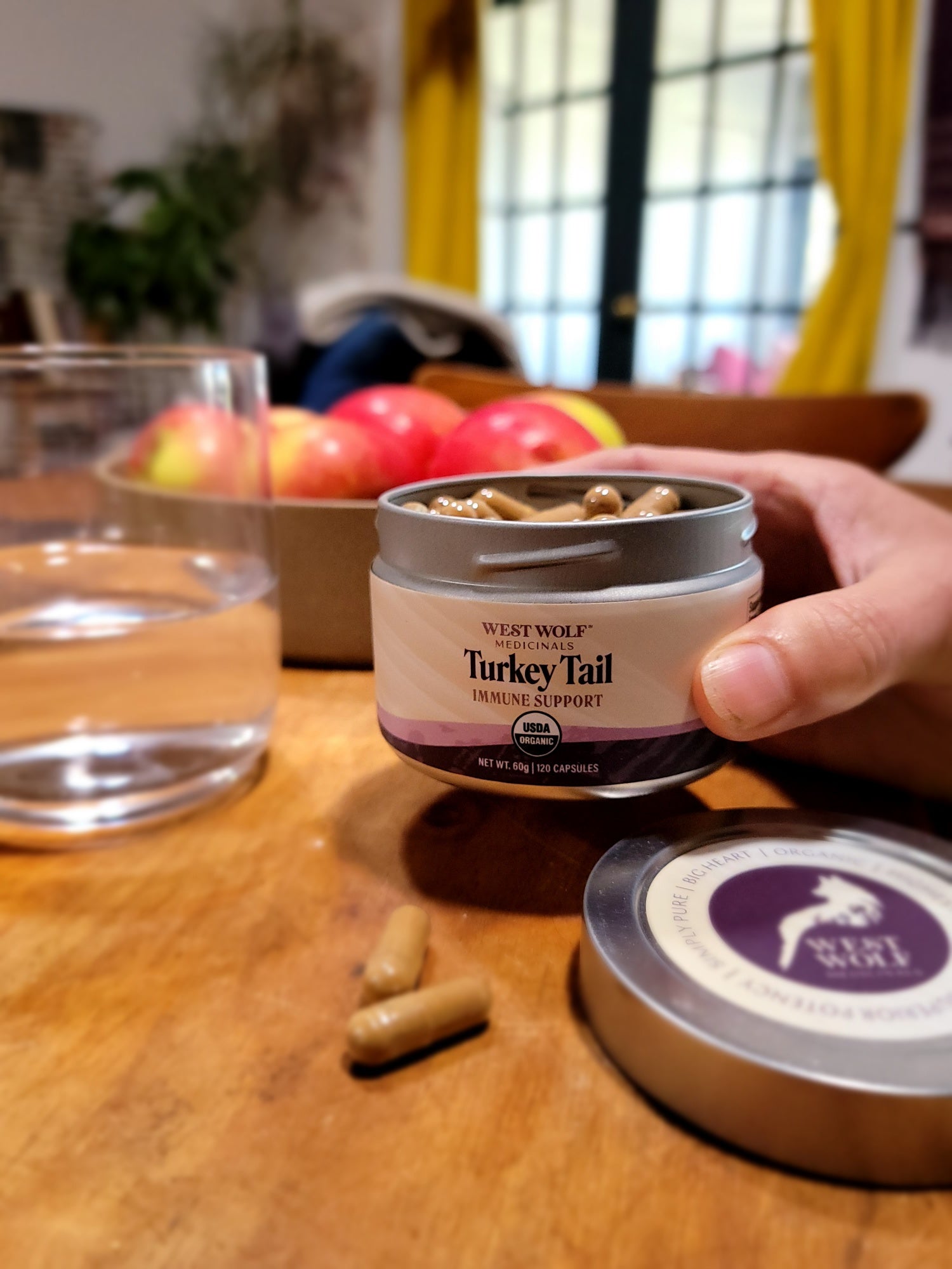 Gut Health Bundle